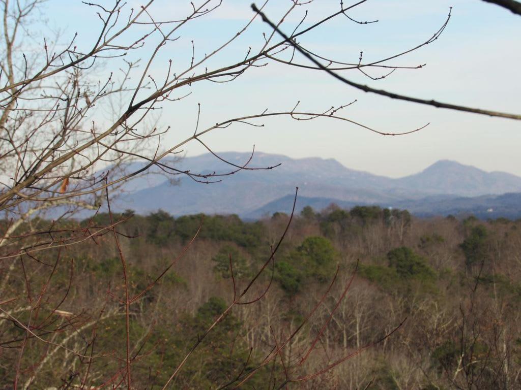 View! Cozy, Private, Fireplace, Hot Tub Log Cabin, Honeymoon! Sevierville Exteriér fotografie